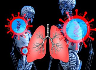 Standard Precautions and Practices to Prevent COVID-19 Standard Precautions and Practicse to Prevent COVID-19